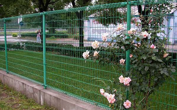 雙圈護(hù)欄網(wǎng) 雙圈護(hù)欄網(wǎng)